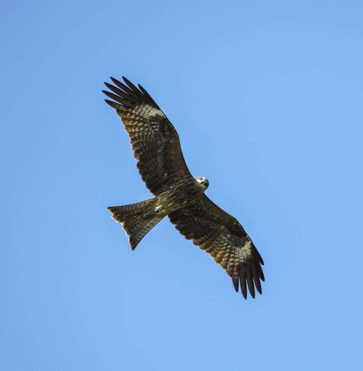 3-day-discover-the-most-stunning-cat-ba-island-lan-ha-bay