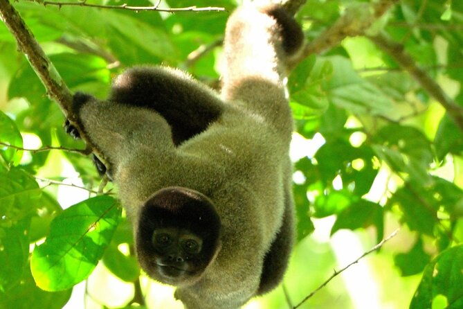 3-day-eco-sustainable-private-tour-manu-national-park