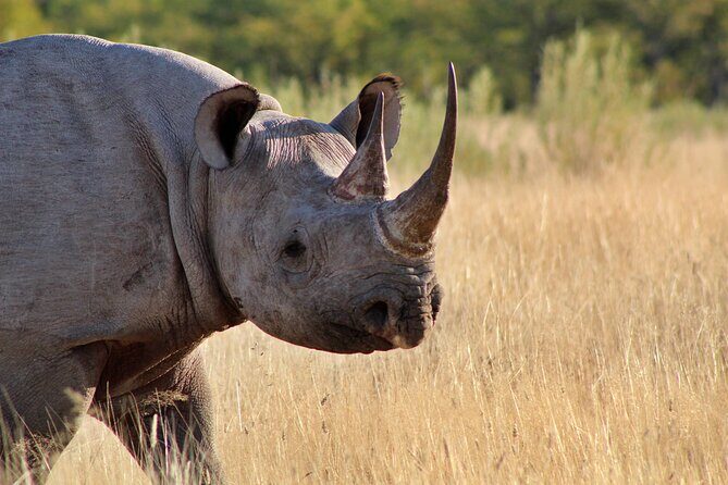 3 Day Etosha Private Guided Safari - Final Thoughts