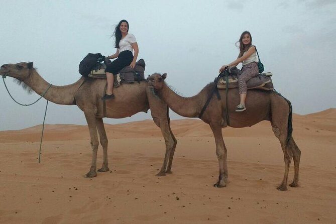 3-day excursion to Merzouga from Marrakech including the Dades valley and camel trek in Erg Chebbi - The Value of This Tour