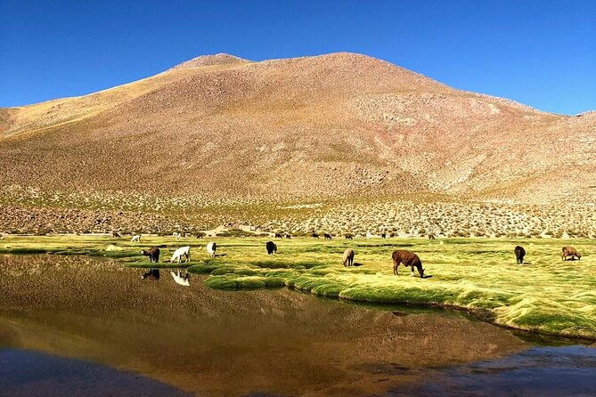3-day-exploring-san-pedro-de-atacama