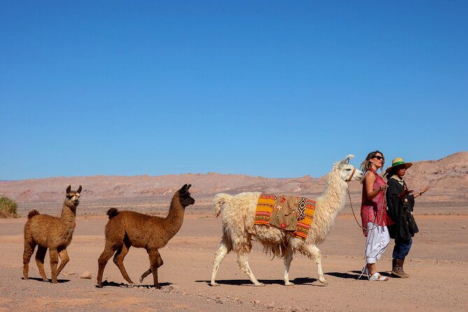 3-day-exploring-san-pedro-de-atacama