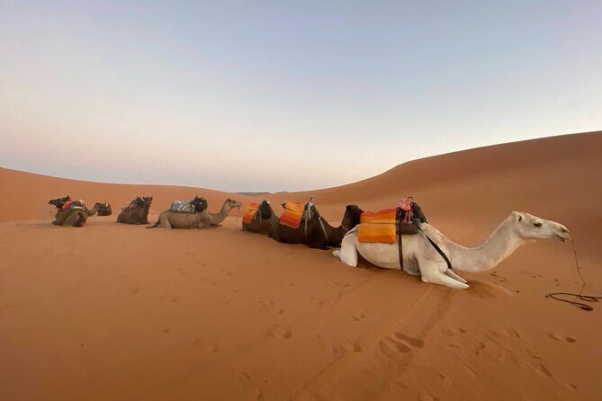 3-Day Fes to Marrakesh Desert Private Tour - Key Points