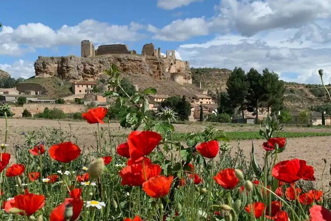 3-day-foodies-medieval-village-near-madrid