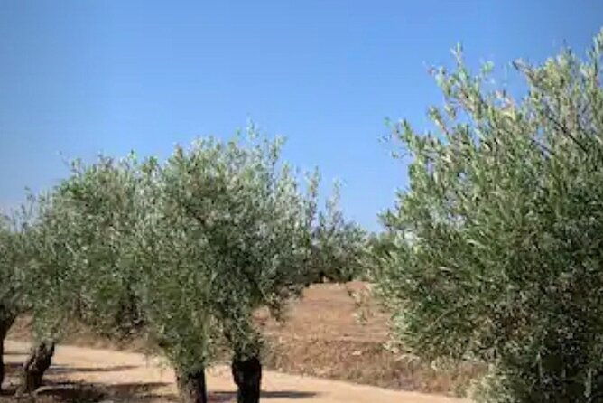 3-day-foodies-medieval-village-near-madrid