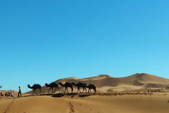 3 day from fes via desert Marrakech - The Itinerary Breakdown: What to Expect