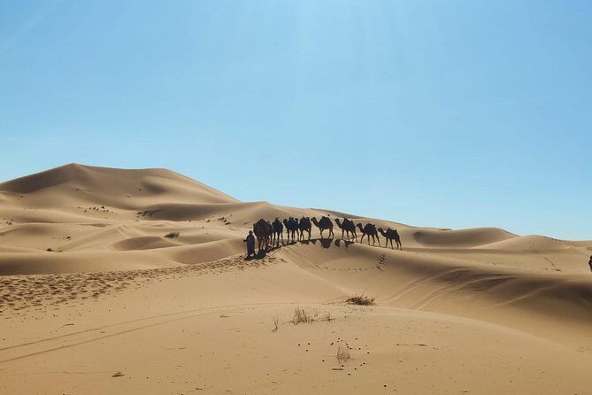 3 day from fes via desert Marrakech - The Sum Up