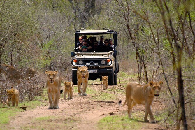 3 Day Garden Route Private Tour - Key Points