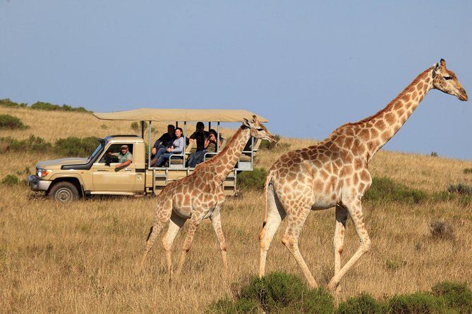 3 Day Garden Route's Best Highlights with Safari from Cape Town - Who Is This Tour Best For?