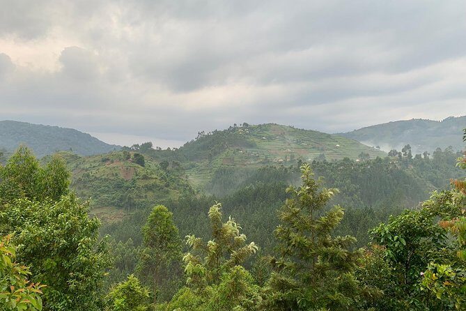 3 Day Gorilla Trek at Bwindi National Park via Kigali - FAQ