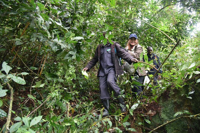 3-Day Gorilla Trekking safari in Bwindi Impenetrable Forest - FAQ