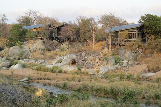 3 Day Greenfire Game Lodge Safari - Wildlife Viewing and Guides: What Sets This Safari Apart
