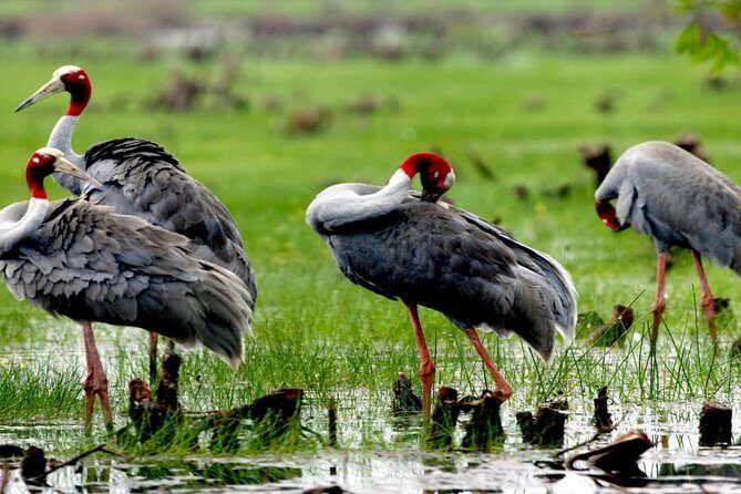 3-day group tour from Saigon to Phnom Penh - Day Two: Floating Markets and Bird Sanctuaries