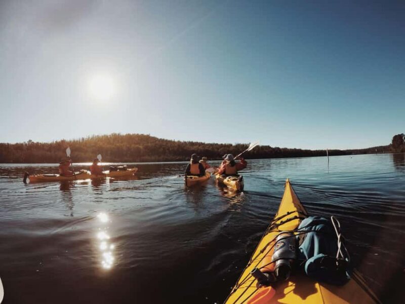 3 Day Guided Kayak Camping, Clyde River Batemans Bay - Practical Details: What You Need to Know