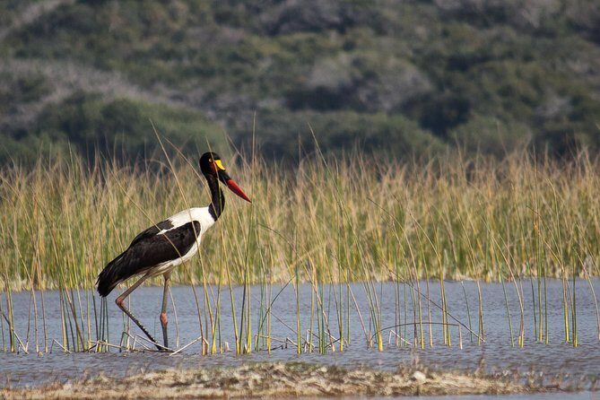3-Day Guided Tour: Maputo Special Reserve - Key Points