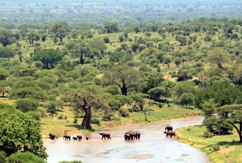 3 Day Hluhluwe & Isimangaliso Wetlands Pk Tour from Durban - Introduction to the Experience