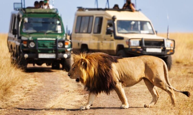 3 Day Hluhluwe & Isimangaliso Wetlands Pk Tour from Durban - What Travelers Can Expect: Practical Details