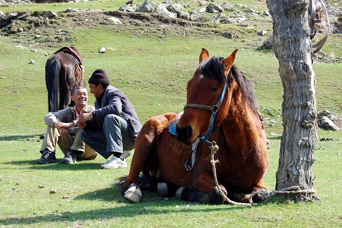 3-Day Horse Riding Tour through the Nuratau Mountains - Practical Tips for Your Trip