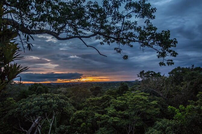 3-day-iquitos-amazon-jungle-adventure-at-ceiba-tops-lodge