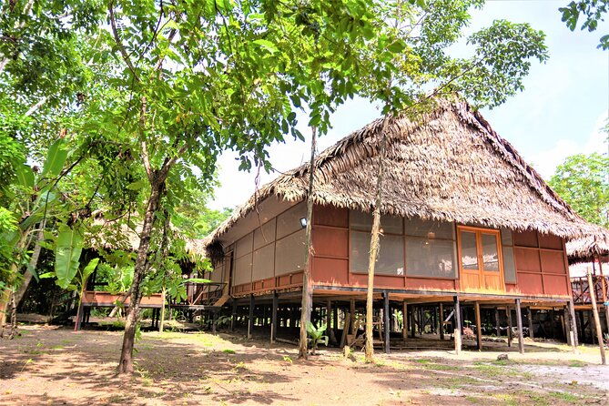 3-day-iquitos-amazon-jungle-tour-at-avatar-amazon-lodge