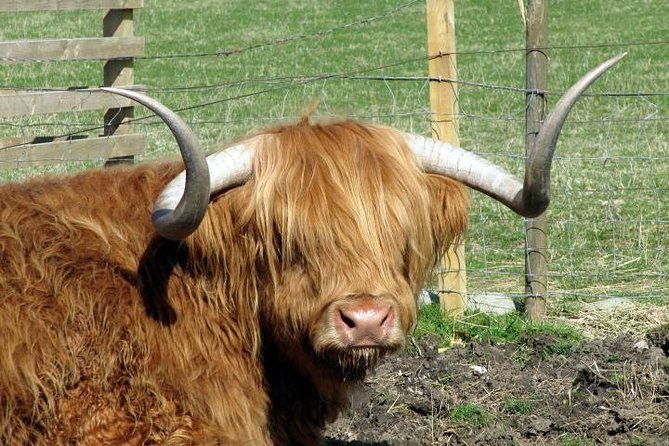 3-day-isle-of-skye-and-highlands-tour-from-glasgow