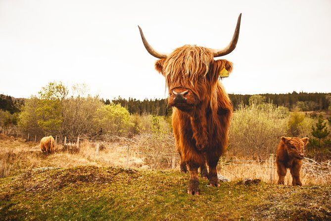 3-Day Isle of Skye and Scottish Highlands Small-Group Tour from Glasgow - FAQ