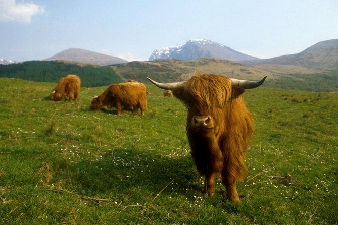 3-day-isle-of-skye-hogwarts-express-train-and-highlands-tour