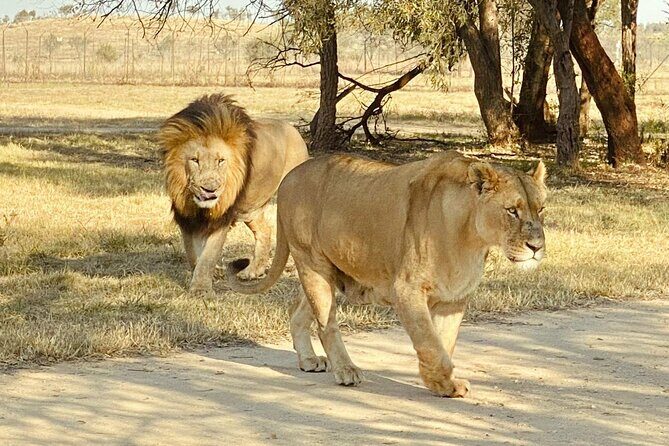 3-Day Johannesburg Tour with Pilanesberg National Park Safari - Exploring the Johannesburg Itinerary in Detail