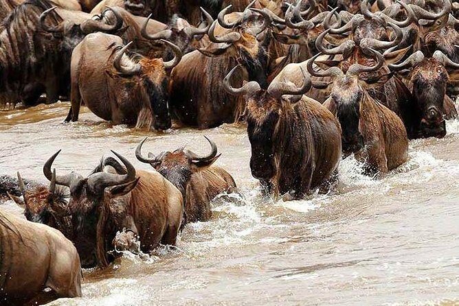 3 Day Joined Group Mid-range Safari Serengeti and Ngorongoro National Park - Why This Tour Offers Value