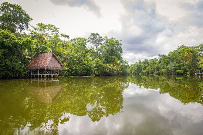 3-day-jungle-and-amazon-river-tour-from-iquitos