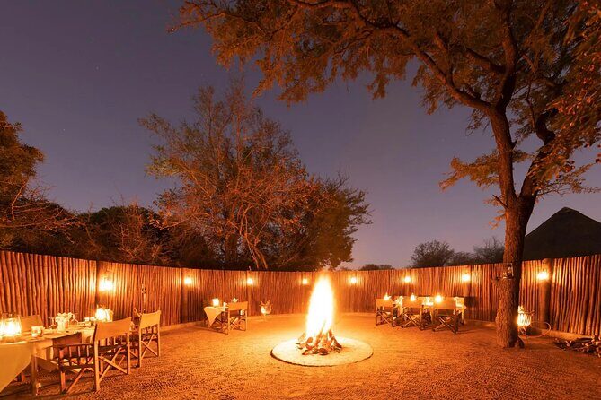 3 Day Kapama Buffalo Camp Safari - What Makes the 3-Day Kapama Buffalo Camp Safari Stand Out?
