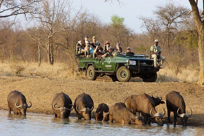 3 Day Kapama Karula Lodge Small Group Guided Safari - The Experience at a Glance