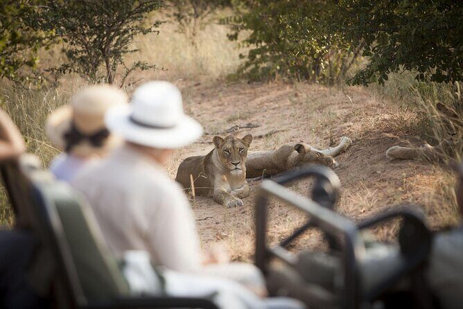 3 Day Kapama Southern Camp Safari - An Honest Look at a Top-Rated South African Safari Experience
