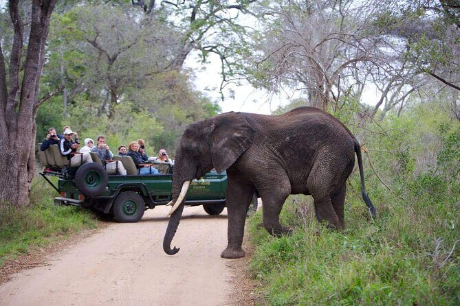 3 Day Kapama Southern Camp Safari - The Real Value of the Price