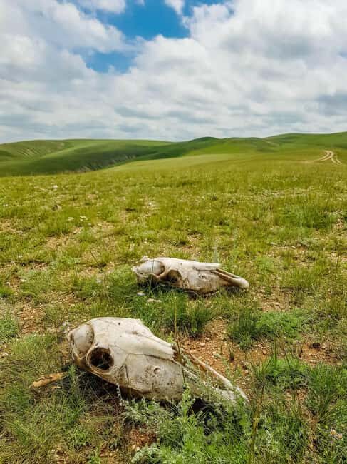 3 day Khar khorum budget tour Central Mongolia - Final Thoughts and Who It’s Best For