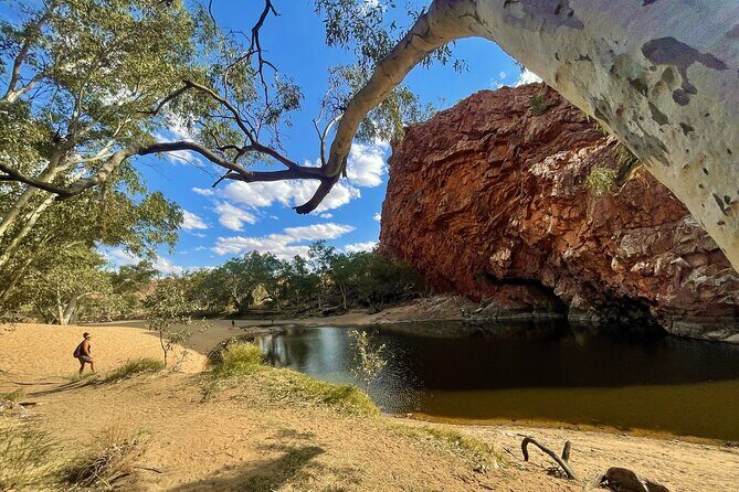 3-Day Kings Canyon & West MacDonnell Ranges 4WD Camping Tour - The Experience: What Travelers Can Expect