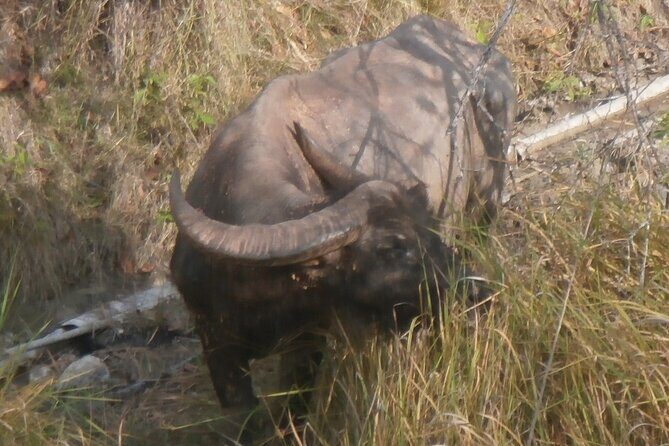 3-Day Komodo National Park Tour: Komodo Island and Rinca Island Trek - FAQ