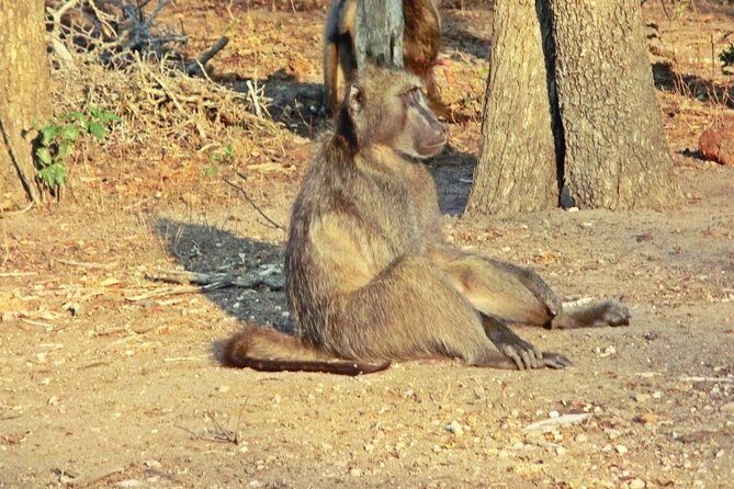 3 Day Kruger National Park Big 5 Safari - Detailed Review of the 3 Day Kruger Safari