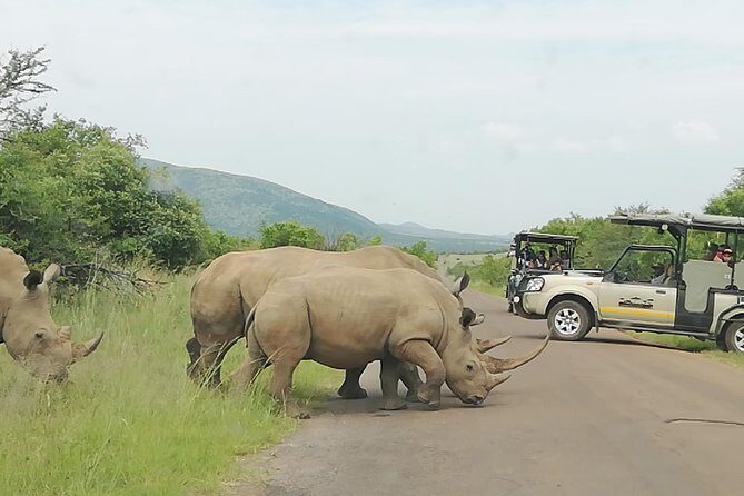 3 day Kruger National Park end with panaroma - Key Points