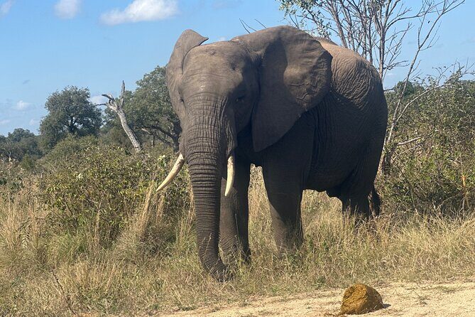 3 day Kruger National Park end with panaroma - Practical Details and What You’ll Value