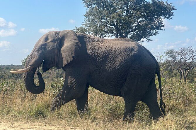 3 day Kruger National Park end with panaroma - The Sum Up: Why Choose This Tour?