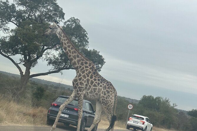 3 day Kruger National Park end with panaroma - FAQ