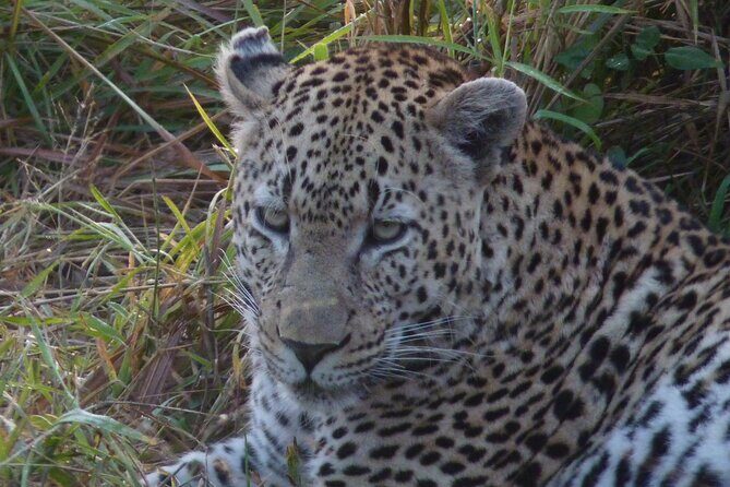 3-Day Kruger National Park Experience - Introduction