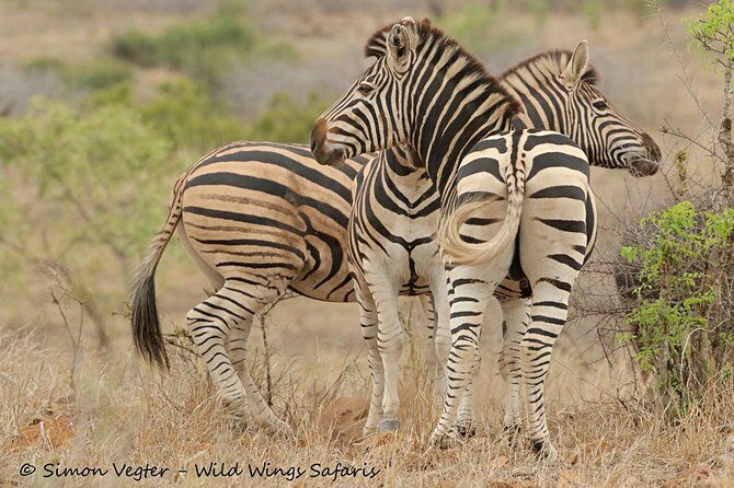 3-Day Kruger National Park Open Vehicle Safari - Key Points