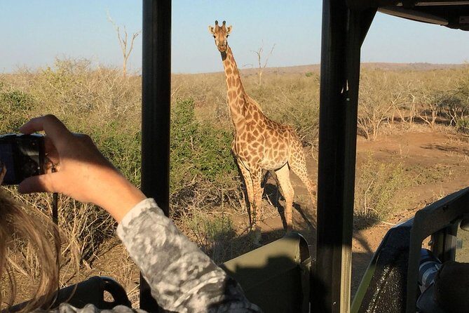 3-Day Kruger National Park Open Vehicle Safari - An In-Depth Look at the 3-Day Kruger Safari