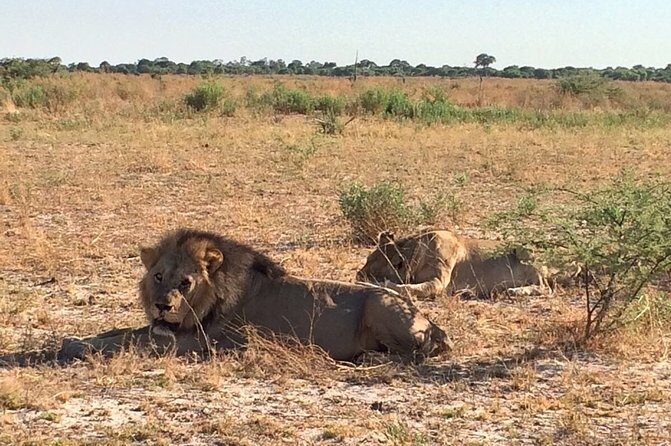 3-Day Kruger National Park Private Safari from Johannesburg - Starting in Johannesburg: The Scenic Road to Kruger