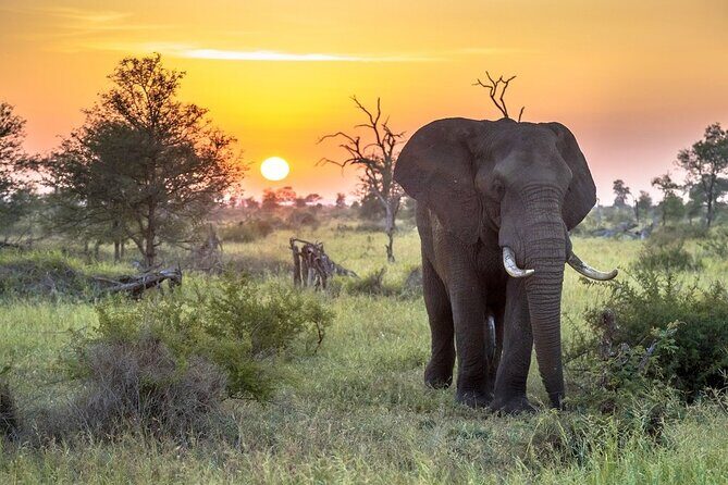 3 Day Kruger National Park Safari & Panorama Route - An In-Depth Look at the Tour Experience