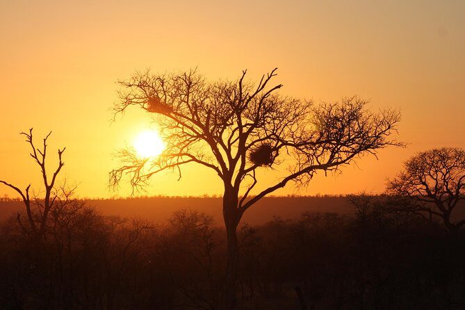 3 Day Kruger National Park tour - Key Points