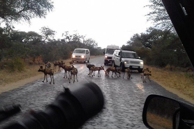 3 Day Kruger National Park tour - Guides and Group Size: Authentic and Personalized