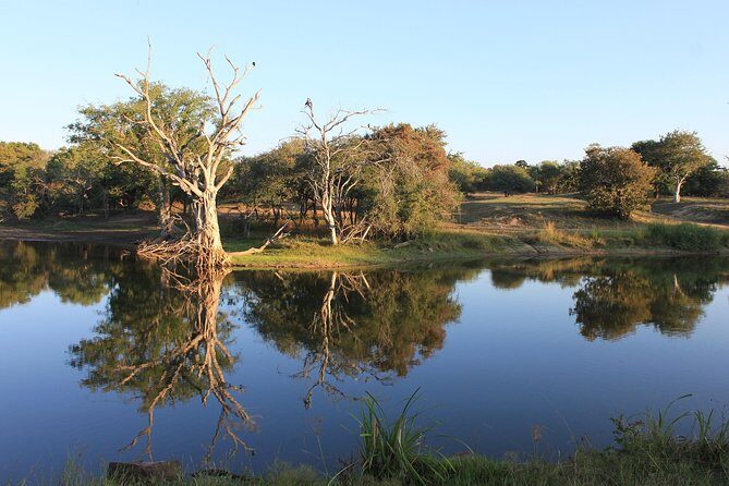 3 Day Kruger National Park tour - Final Thoughts: Who Will Love This Tour?